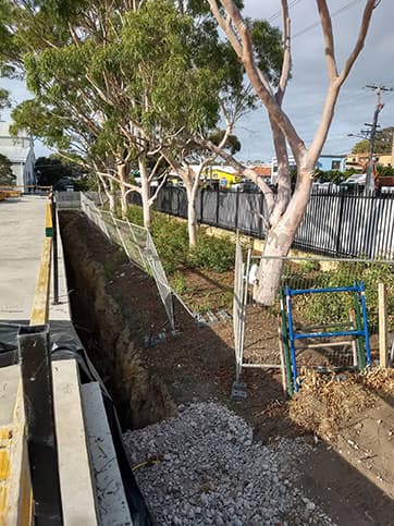 Tree assessment on the Central Coast